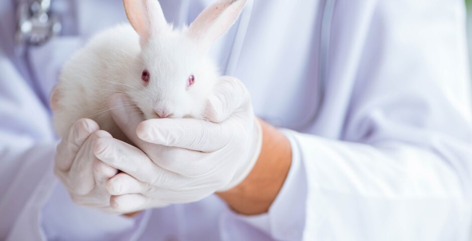 The European Parliament wants an end to animal testing - Shaping Europe