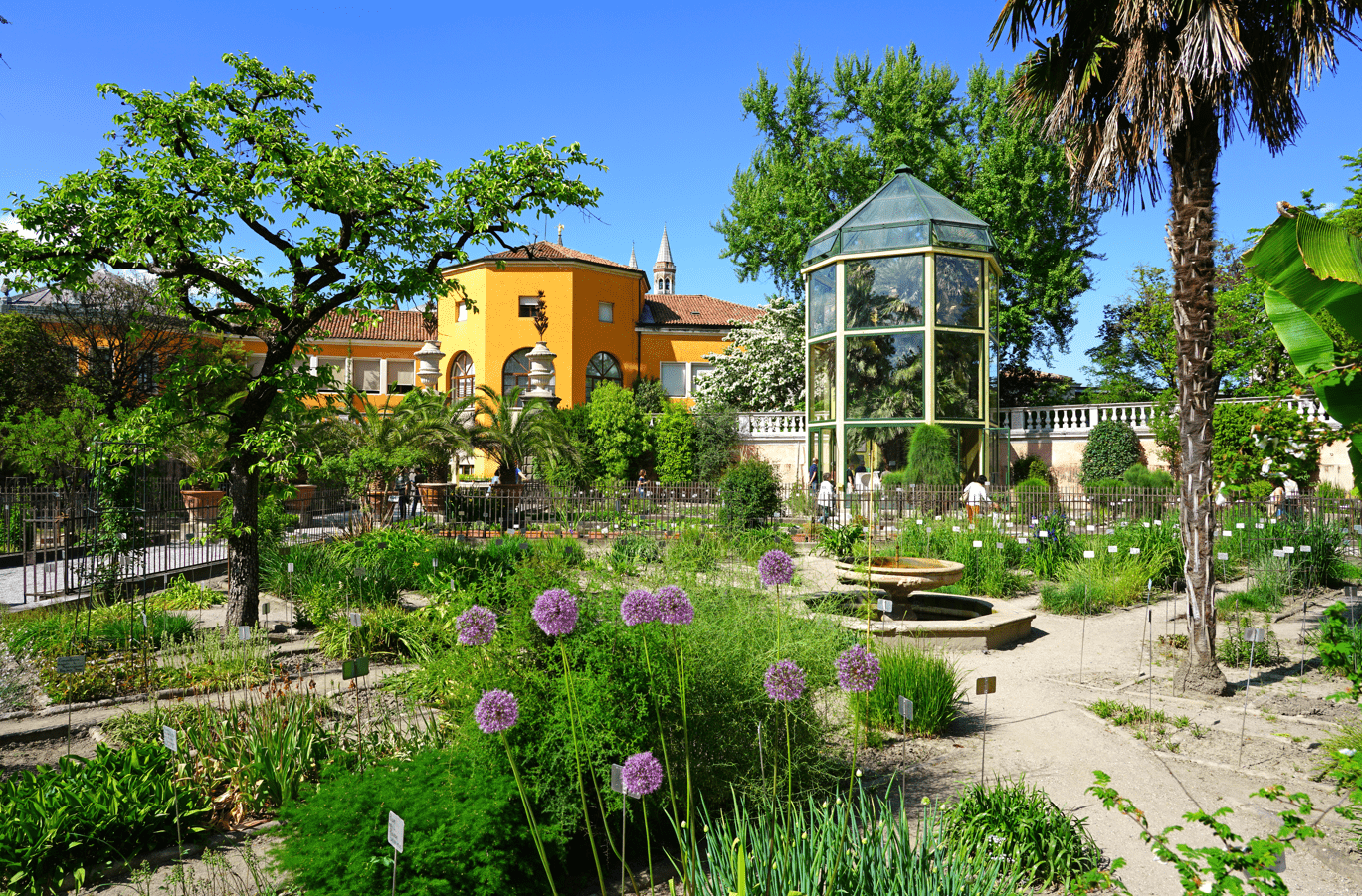 De groene wereld van botanische tuinen - Shaping Europe